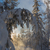 Image-square_50