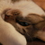 Image-square_50