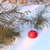 Image-square_50
