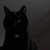 Image-square_50