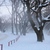Image-square_50