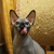 Image-square_50
