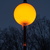 Image-square_50