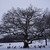 Image-square_50