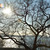 Image-square_50
