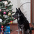Image-square_50