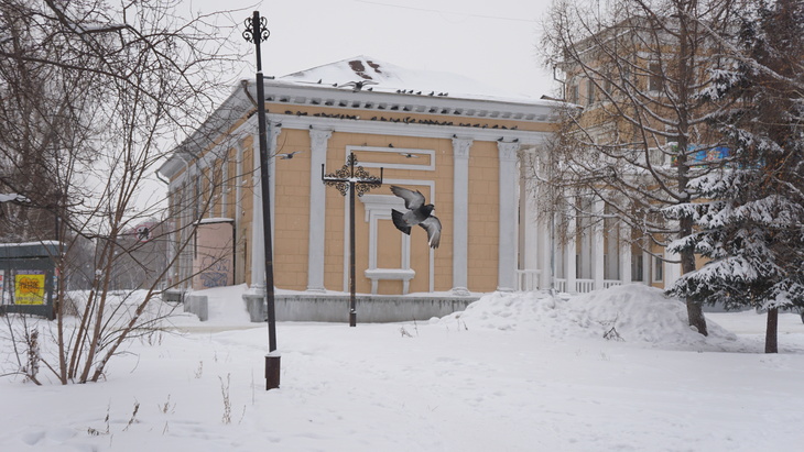 Image-normal