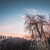 Image-square_50