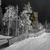Image-square_50