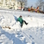 Image-square_50
