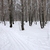 Image-square_50