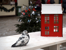 Image-rectangle_220_165