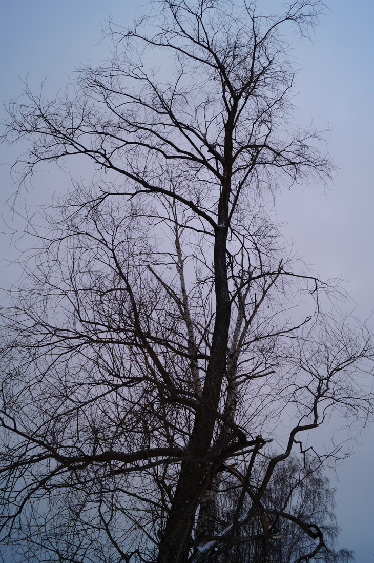 Image-normal