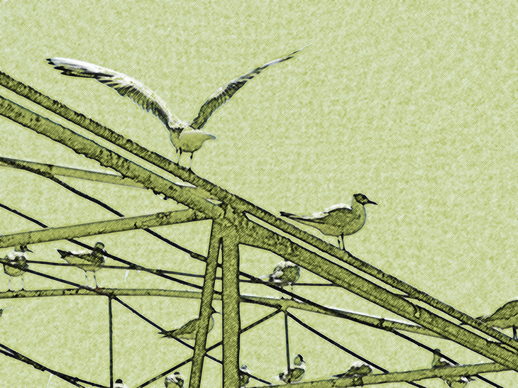 Image-normal