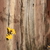Image-square_50