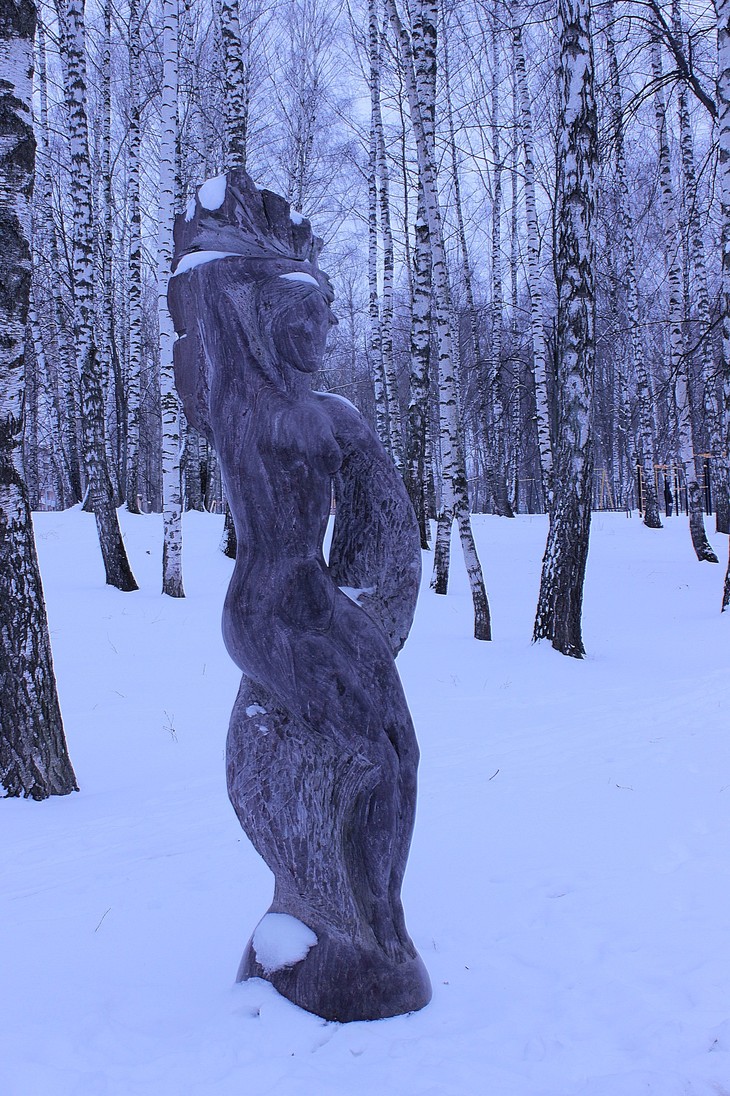 Image-normal