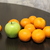 Image-square_50