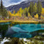 Image-square_50