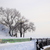 Image-square_50