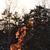 Image-square_50