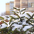 Image-square_50