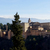 Image-square_50