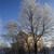 Image-square_50