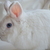 Image-square_50
