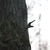 Image-square_50