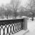 Image-square_50