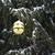 Image-square_50