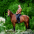 Image-square_50