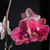 Image-square_50