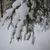 Image-square_50