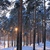 Image-square_50