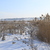 Image-square_50
