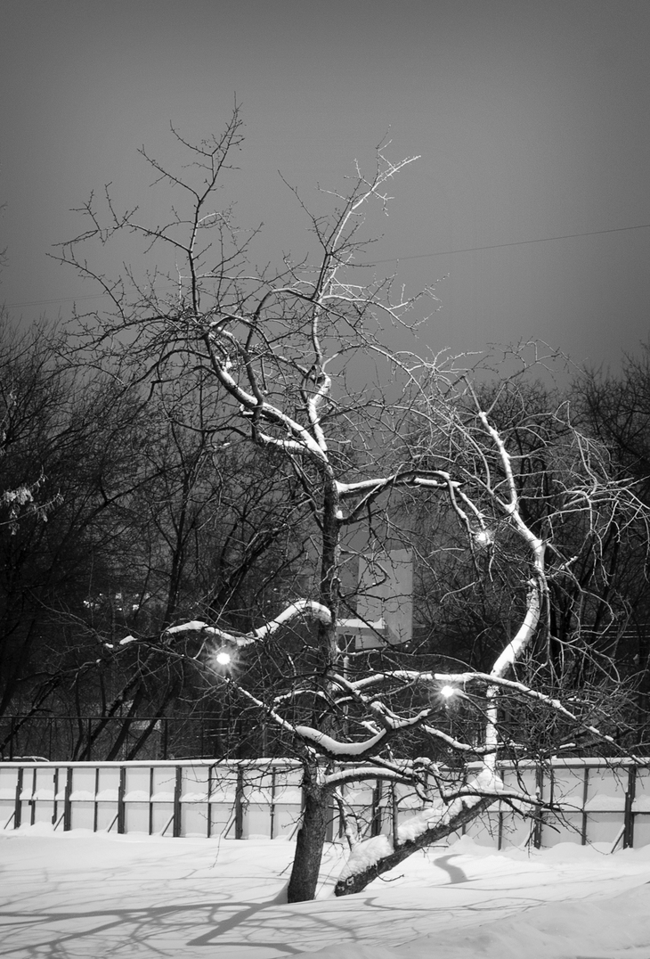 Image-normal