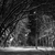 Image-square_50