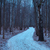 Image-square_50