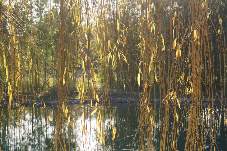 Image-normal
