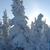 Image-square_50