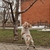 Image-square_50