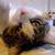Image-square_50