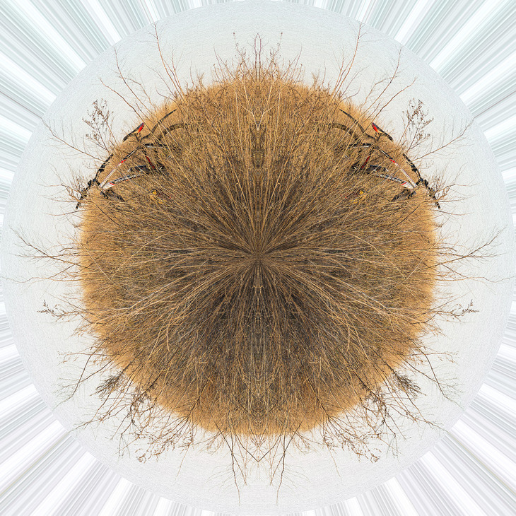 Image-normal