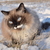 Image-square_50