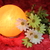 Image-square_50