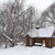 Image-square_50