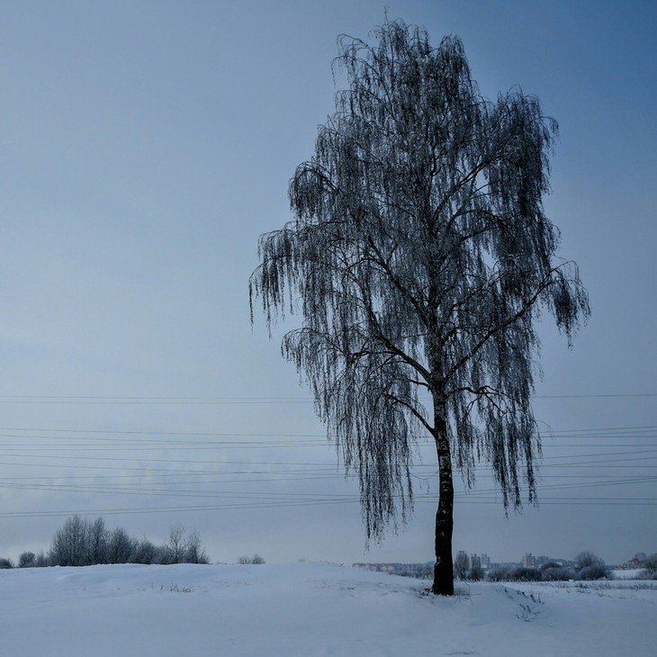Image-normal