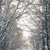 Image-square_50