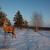 Image-square_50